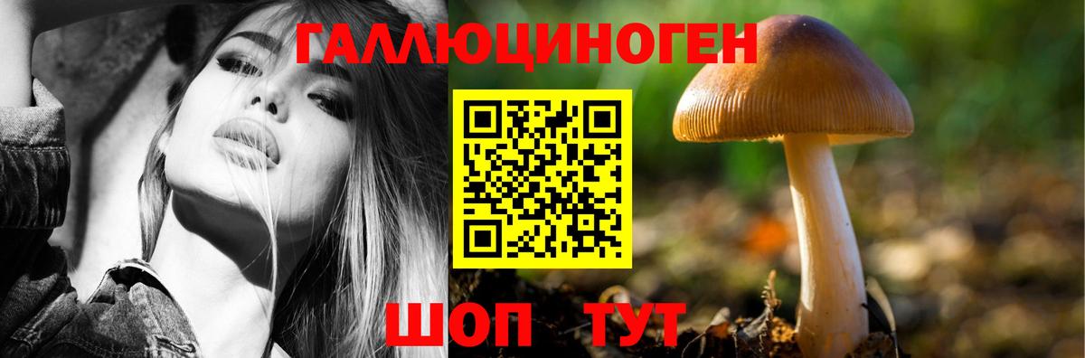 Галлюциногенные грибы GOLDEN TEACHER Белореченск